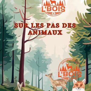 L'aventure des petits explorateurs